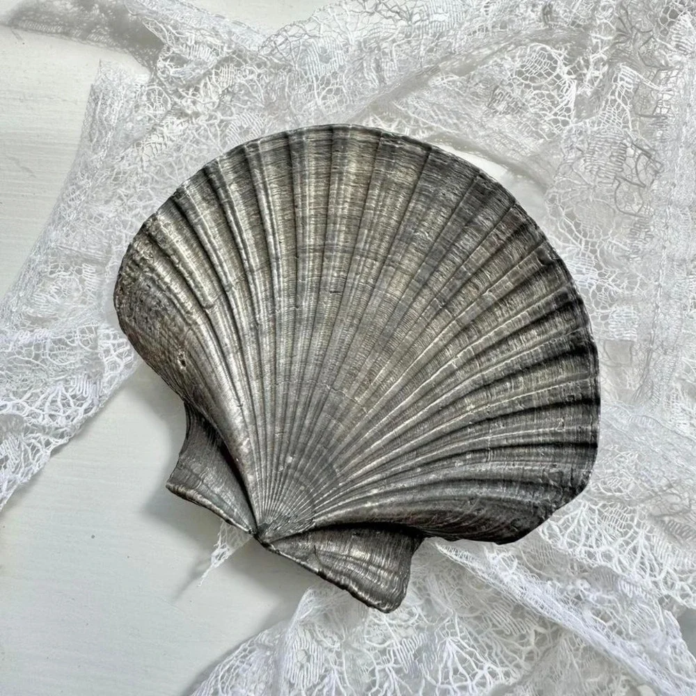 Vintage Silver Seashell Belt Buckle‎ / Pendant Large
